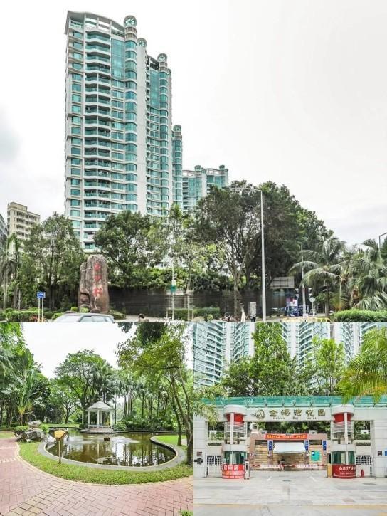 把海景装进生活晨起推窗恰见深圳湾法拍房优选金海湾花园风险可控-第1张图片-法拍在线官网