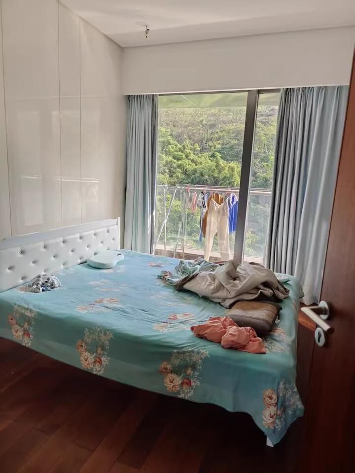 深圳前海自贸区顶流地段187㎡南山汉京半山公馆法拍房起拍价腰斩-第12张图片-法拍在线官网
