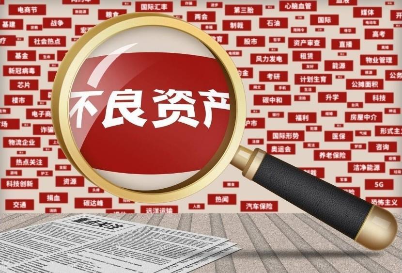 学习个贷不良投资与化债：小额分散市场的「精准掘金」逻辑-第9张图片-法拍在线官网