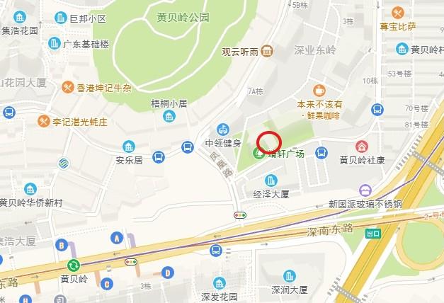 深圳罗湖法拍房价格地图严选3套起拍价最低5.9折还带明笑-第5张图片-法拍在线官网