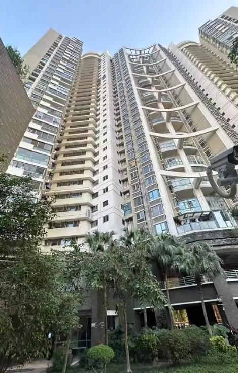 教育+区位双加持精选福田5套法拍房深圳顶流雪区性价比之王-第14张图片-法拍在线官网
