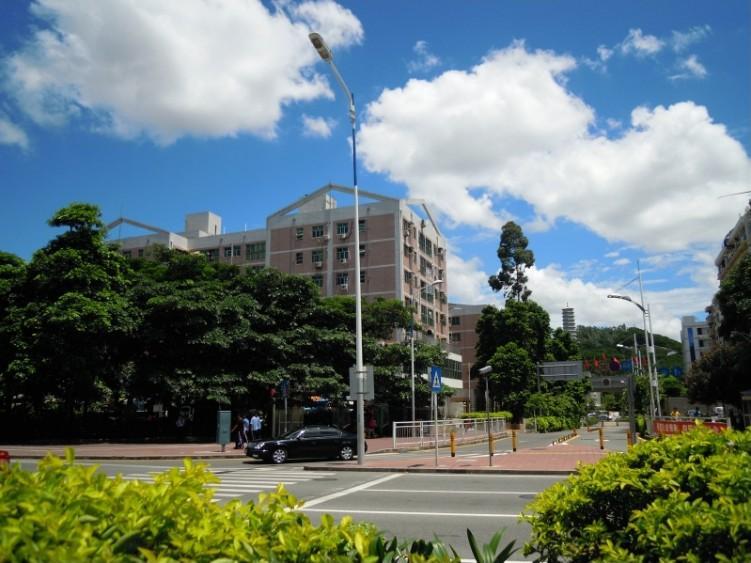 教育+区位双加持精选福田5套法拍房深圳顶流雪区性价比之王-第6张图片-法拍在线官网