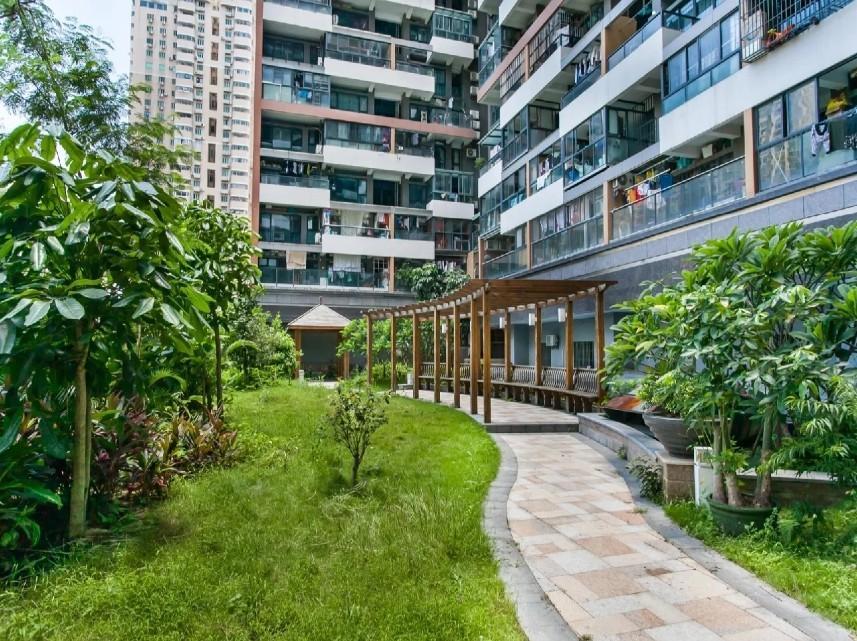 深圳南山区300万起四大优质法拍房地段价值与居住属性全解析-第1张图片-法拍在线官网