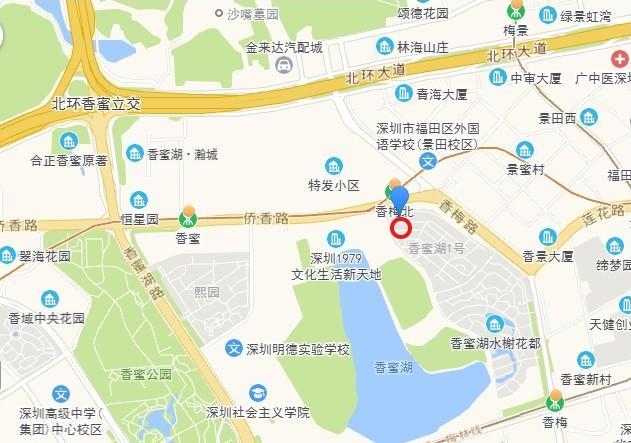福田核心区稀缺资产香蜜湖一号400平顶复豪宅4.1折法拍房享绝版湖景-第10张图片-法拍在线官网