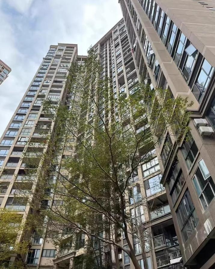 深圳宝安西乡核心区法拍房次新板楼/满五精装/双拼大宅3件套全明户型解析-第3张图片-法拍在线官网