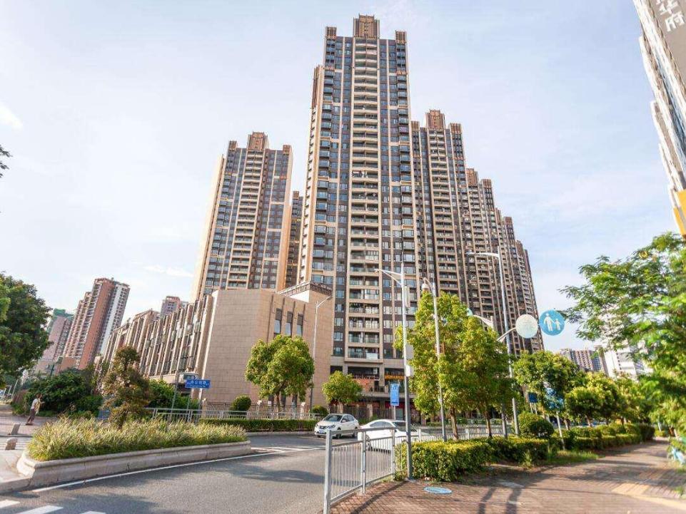 深圳北枢纽交汇双轨上盖龙华核心区玖龙玺法拍房的价值锚点-第1张图片-深圳法拍房房源信息官方网站