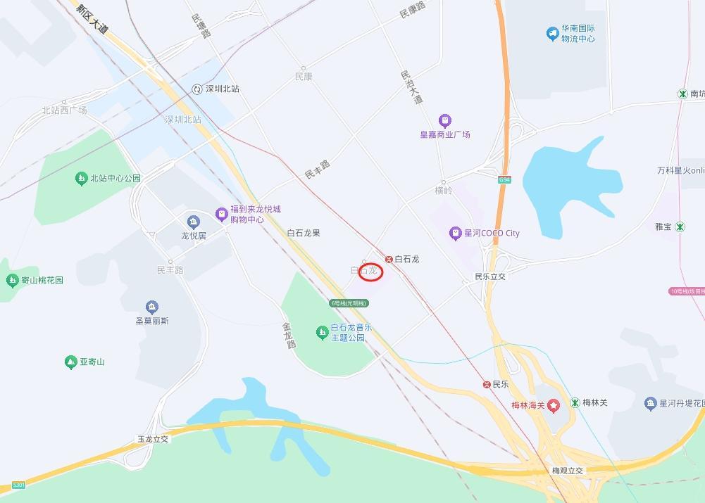 深圳北枢纽交汇双轨上盖龙华核心区玖龙玺法拍房的价值锚点-第7张图片-深圳法拍房房源信息官方网站