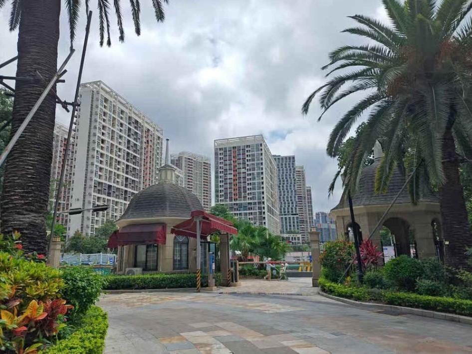 深圳龙华法拍房别墅深度观察：两套房源的隐藏价值与选择逻辑